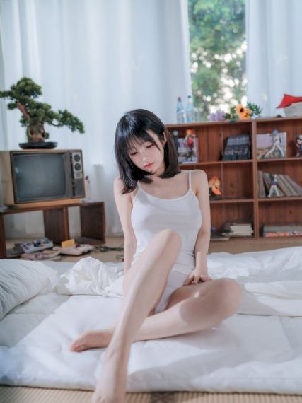 拉布拉多动画片免费观看